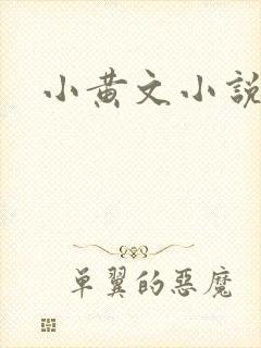小黄文小说