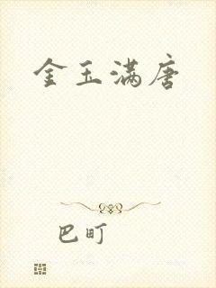金玉满唐封面