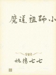 魔道祖师小说
