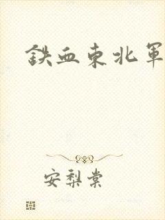 铁血东北军封面