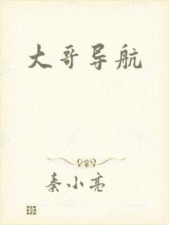 大哥导航