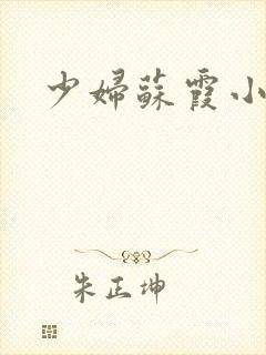 少妇苏霞小说