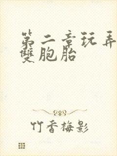 第二章玩弄少妇双胞胎
