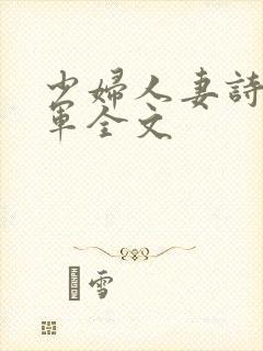 少妇人妻诗雨小军全文