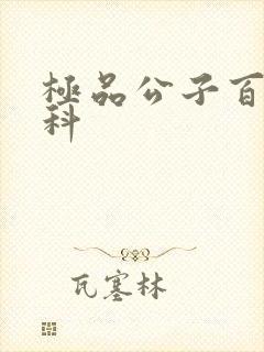极品公子百度百科