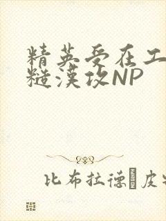 精英受在工地被糙汉攻NP封面
