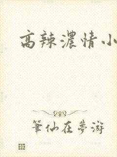 高辣浓情小说