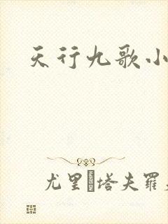 天行九歌小说封面