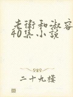 老卫和淑容1-40集小说