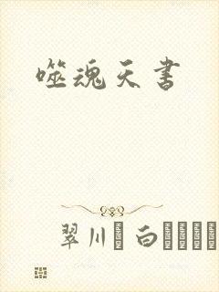 噬魂天书