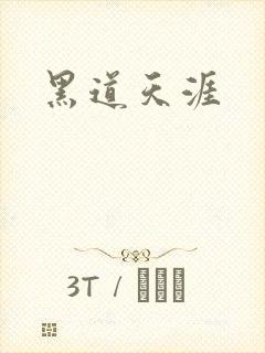 黑道天涯封面