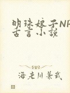 明珠娘子NPC古言小说