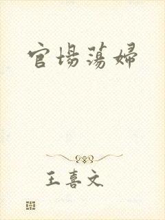 官场荡妇封面