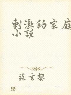 刺激的家庭乱仑小说封面