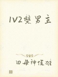 1V2双男主
