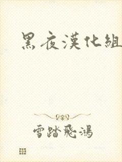 黑夜汉化组