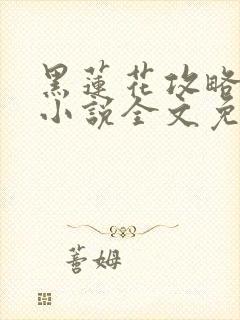 黑莲花攻略手册小说全文免费阅读笔趣阁封面