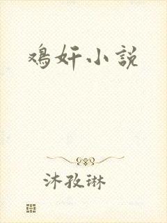 鸡奸小说