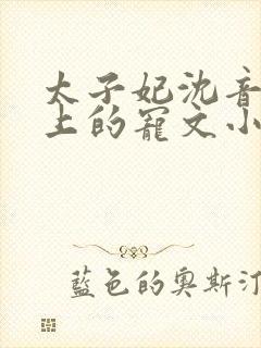 太子妃沈音和皇上的宠文小说