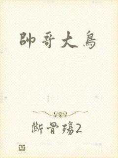 帅哥大鸟