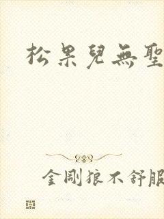 松果儿无圣光