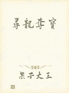 寻龙夺宝