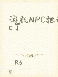 游戏NPC把我c了