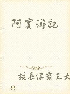 阿宾游记