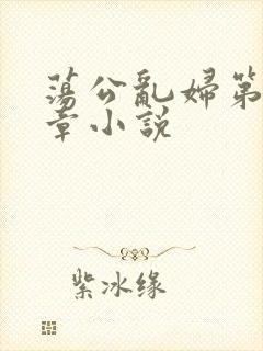 荡公乱妇第51章小说