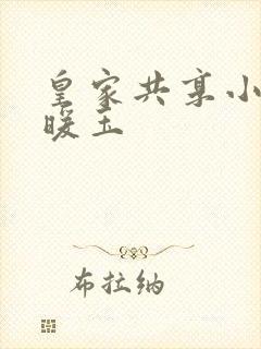 皇家共享小公主暖玉封面