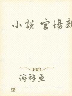 小说 官场新贵封面