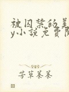 被囚禁的美人by小说免费阅读封面