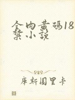 全肉黄码18无禁小说