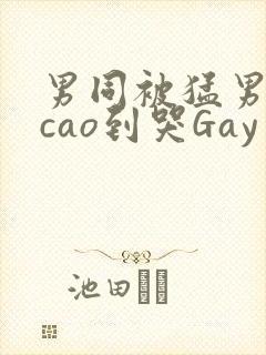 男同被猛男房东cao到哭Gay