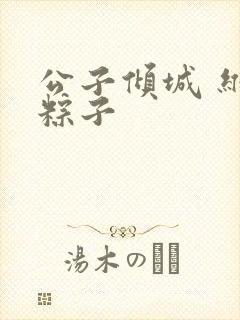 公子倾城 维和粽子