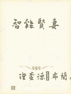 智能贤妻封面