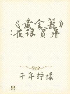 书籍封面