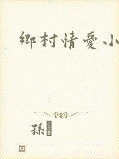 乡村情爱小说封面