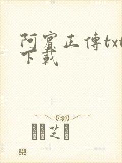 阿宾正传txt下载