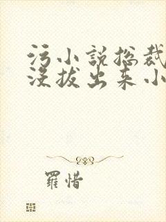 污小说总裁整夜没拔出来小说在线阅读封面