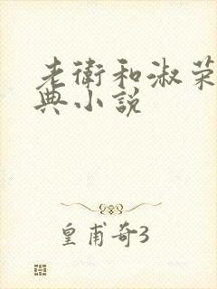 老卫和淑荣的经典小说