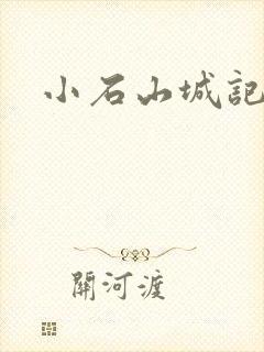 小石山城记封面