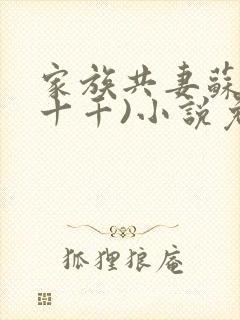 家族共妻苏苏(十千)小说免费