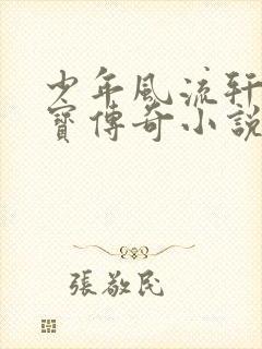 少年风流轩辕大宝传奇小说