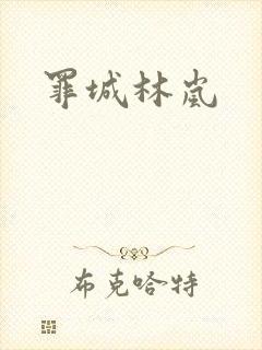 罪城林岚封面