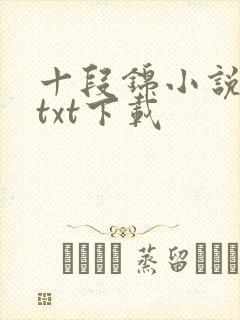 十段锦小说全本txt下载封面
