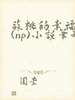 苏桃的幸福生活(np)小说笔趣阁封面