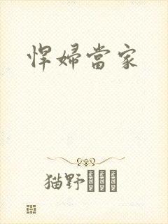 悍妇当家