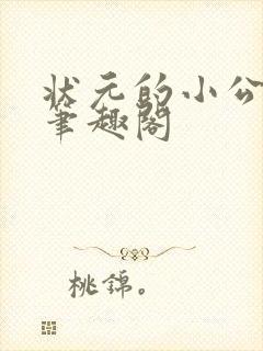 状元的小公主 笔趣阁封面