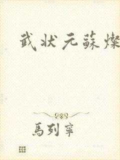 武状元苏灿